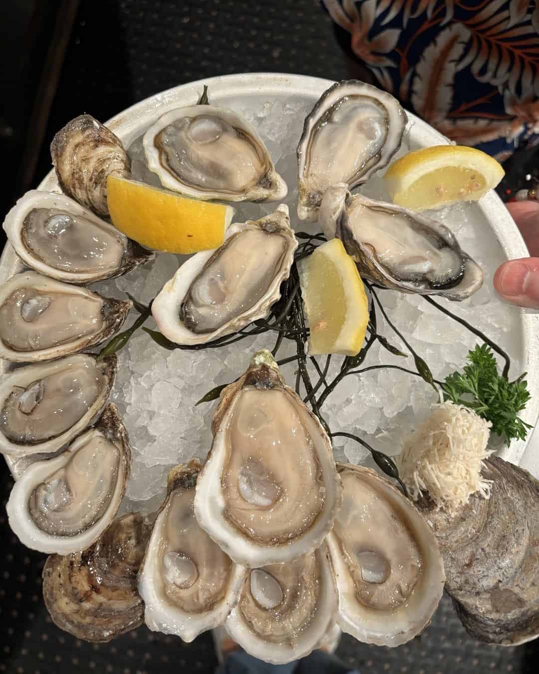 oystermania 2024 rodneys toronto