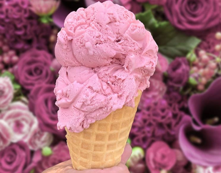 ice cream, shop, new, legendary, treat, dessert.