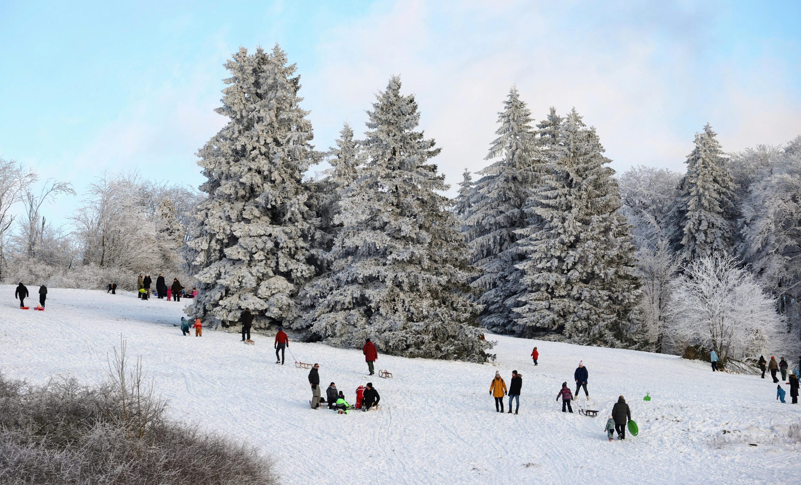 toboggan hills toronto