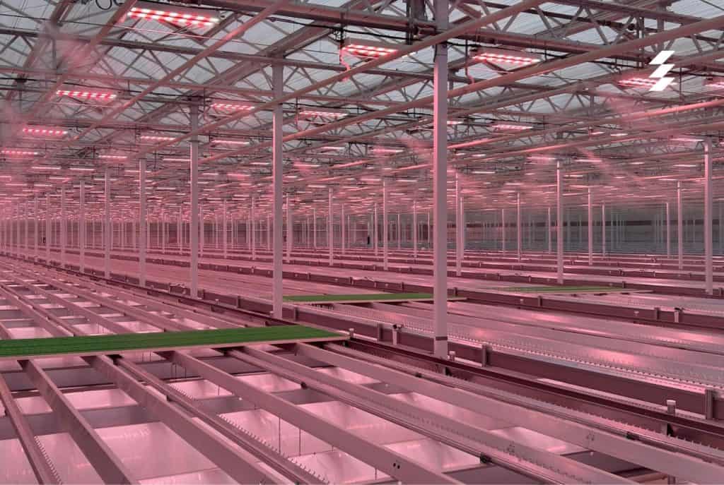 Canada S First Fully Automated Greenhouse Just Opened At A Farm In