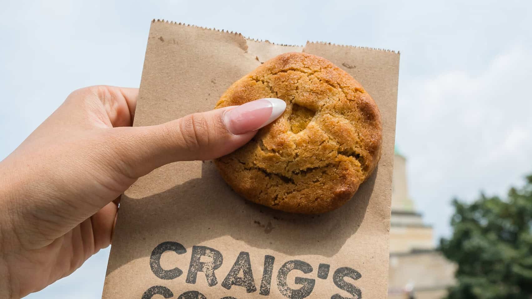 craigs chicken nugget cooke cne