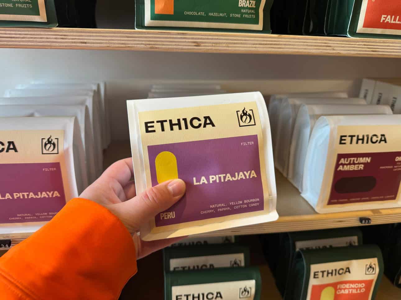 fresh coffee beans toronto