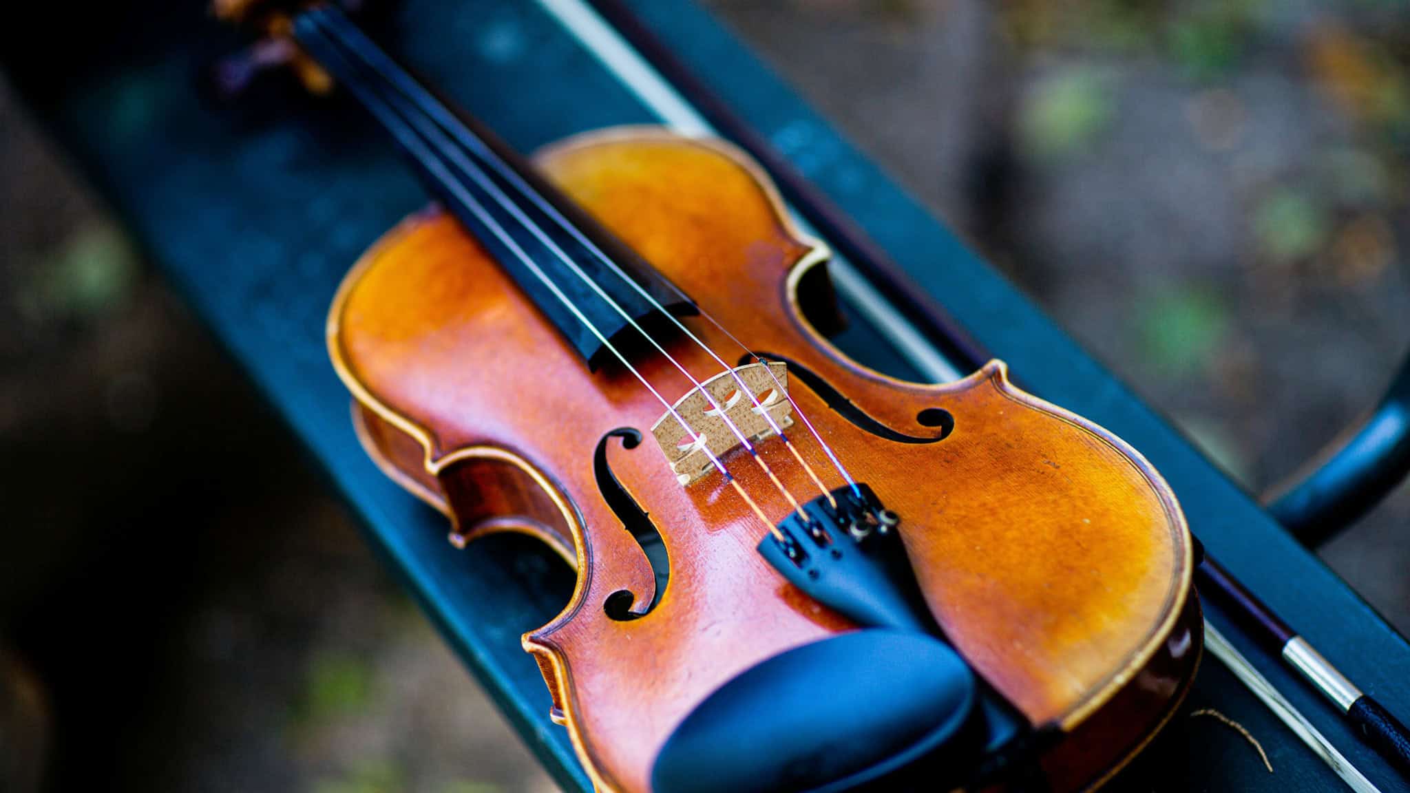 mississauga nature concert