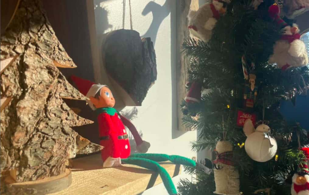 Downtown Toronto's massive holiday market has returned