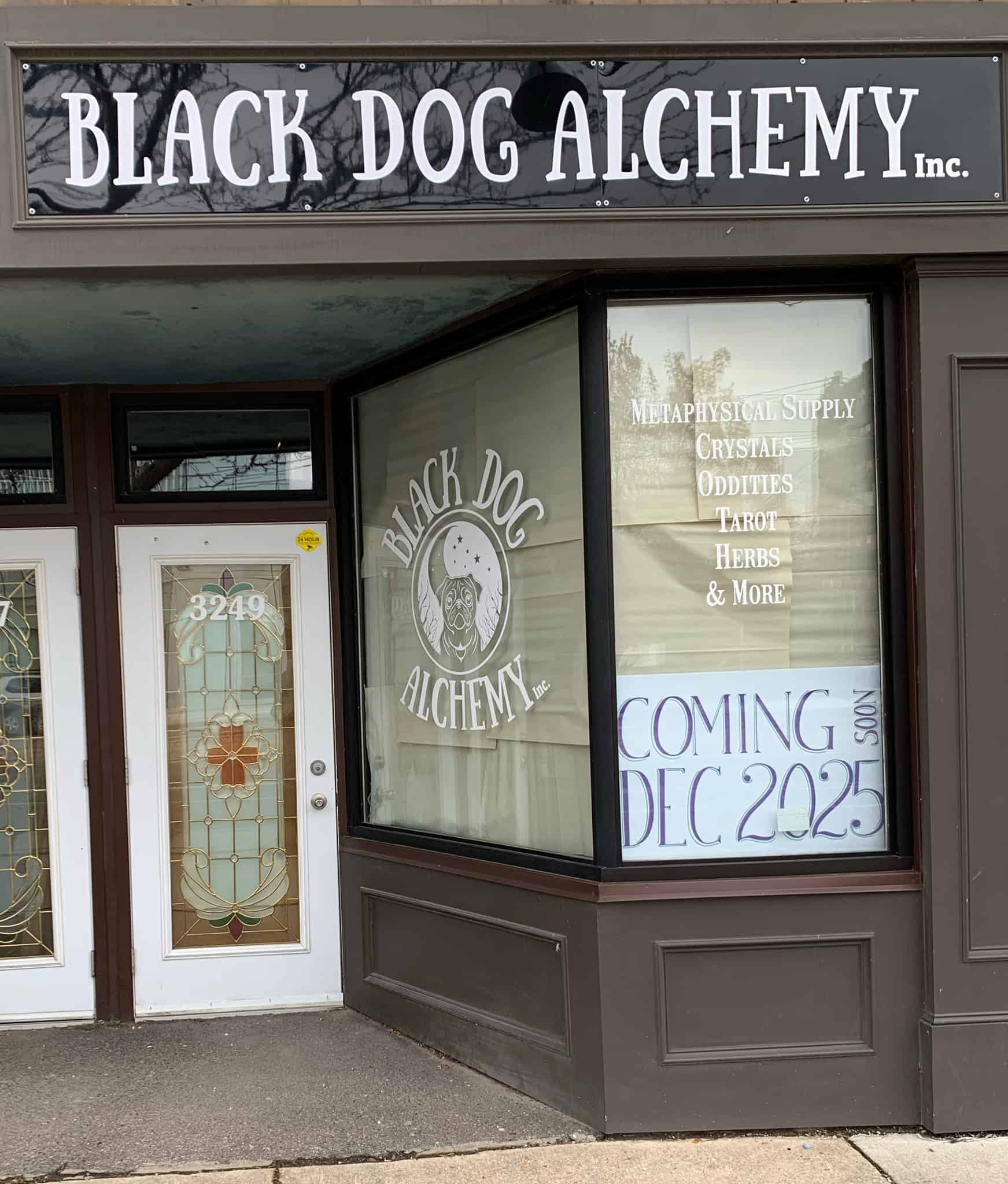 black dog alchemy toronto