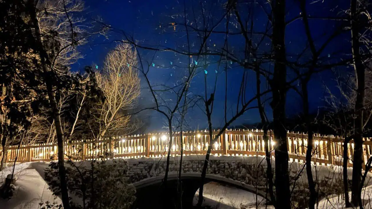 illuminated forest trail terra cotta