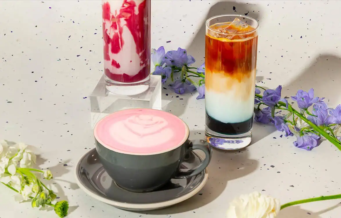Popular Japanese-style cafe in Toronto debuts spring inspired items