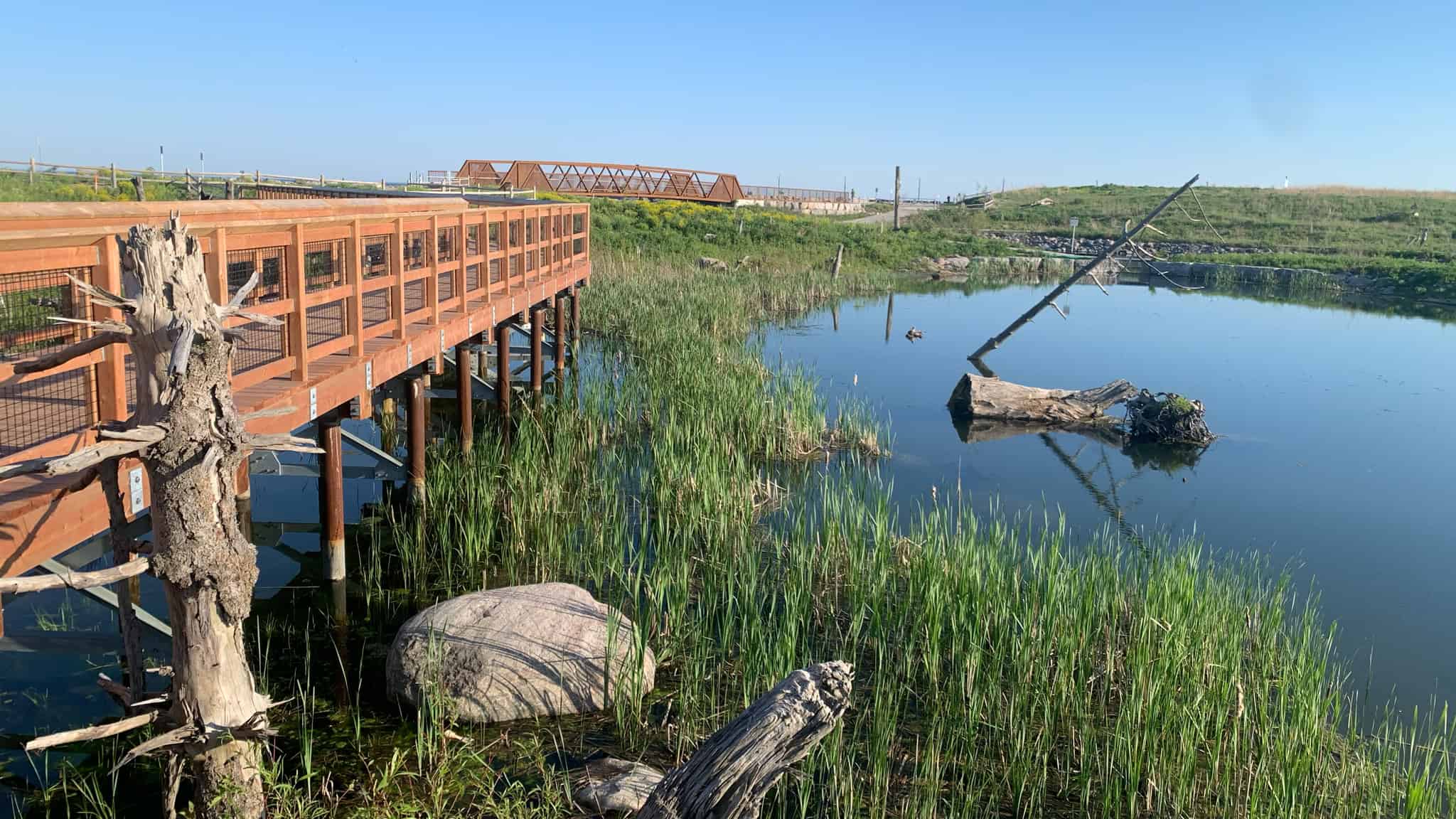 jim tovey conservation area