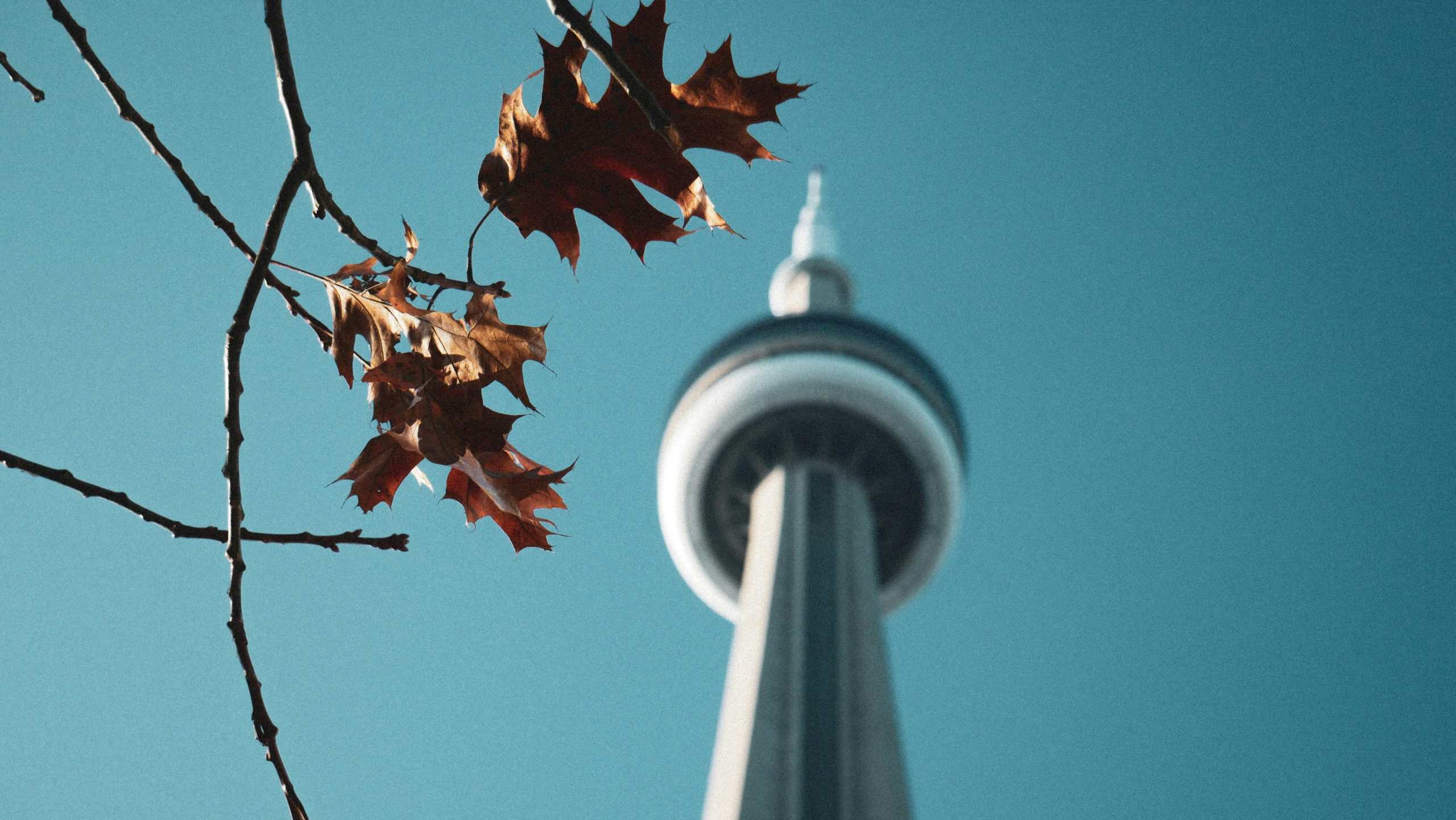 open closed thanksgiving toronto